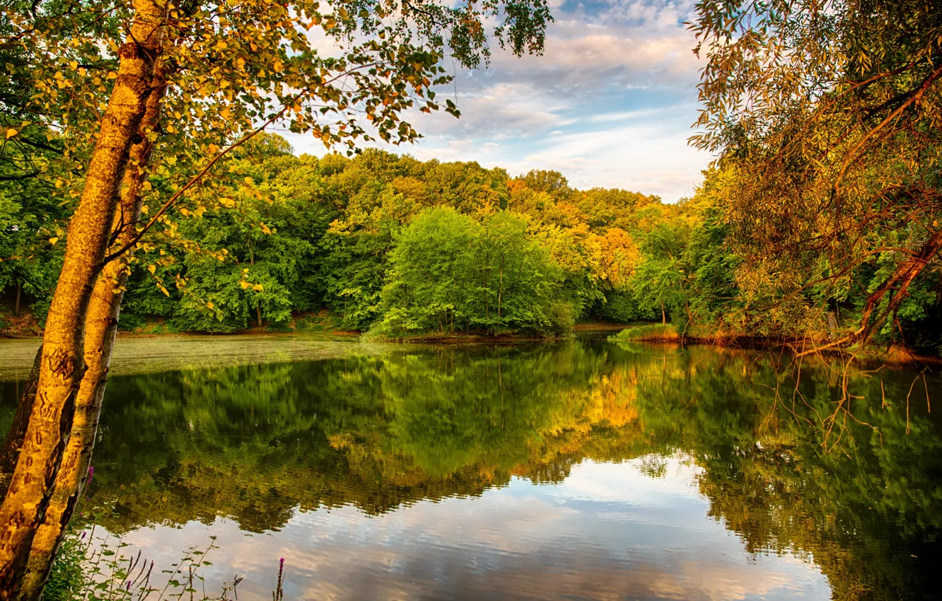 Фото обои осень, небо, деревья, отражение, река, листва, берега