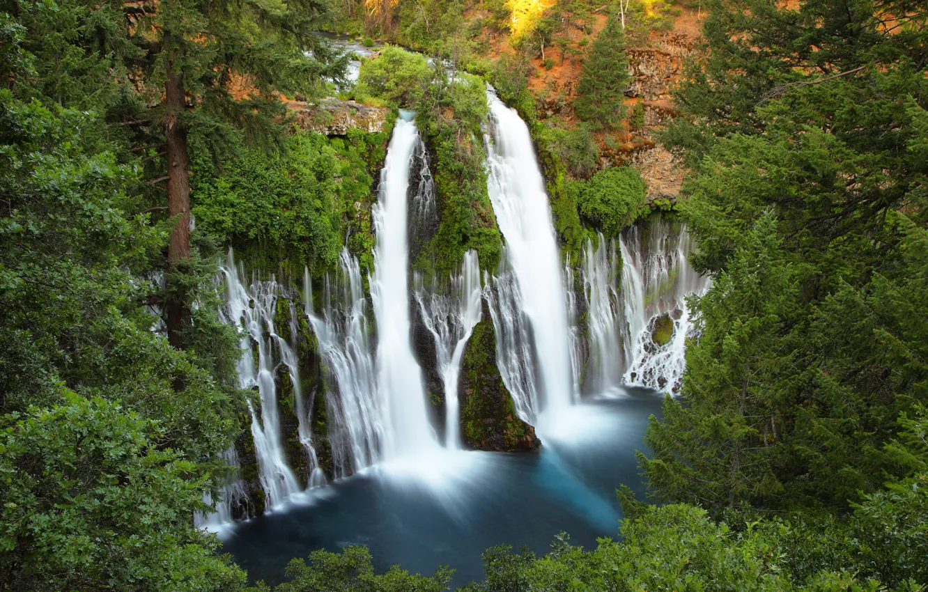 Фото обои лес, деревья, скалы, водопад, Калифорния, сверху, USA, США
