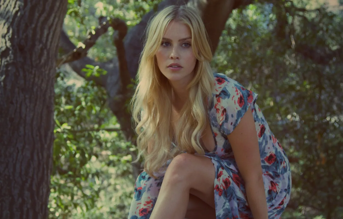 Фото обои актриса, блондинка, Клэр Холт, Claire Holt