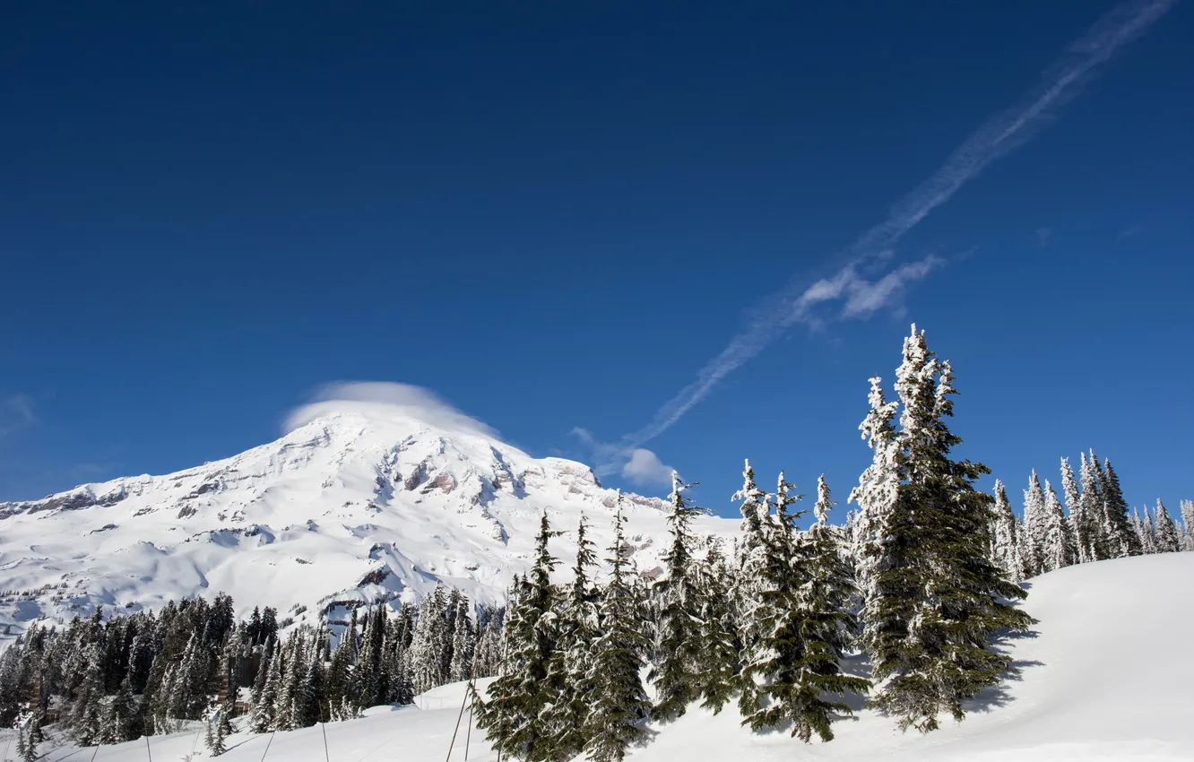 Фото обои зима, лес, небо, National Park, Mount Rainier