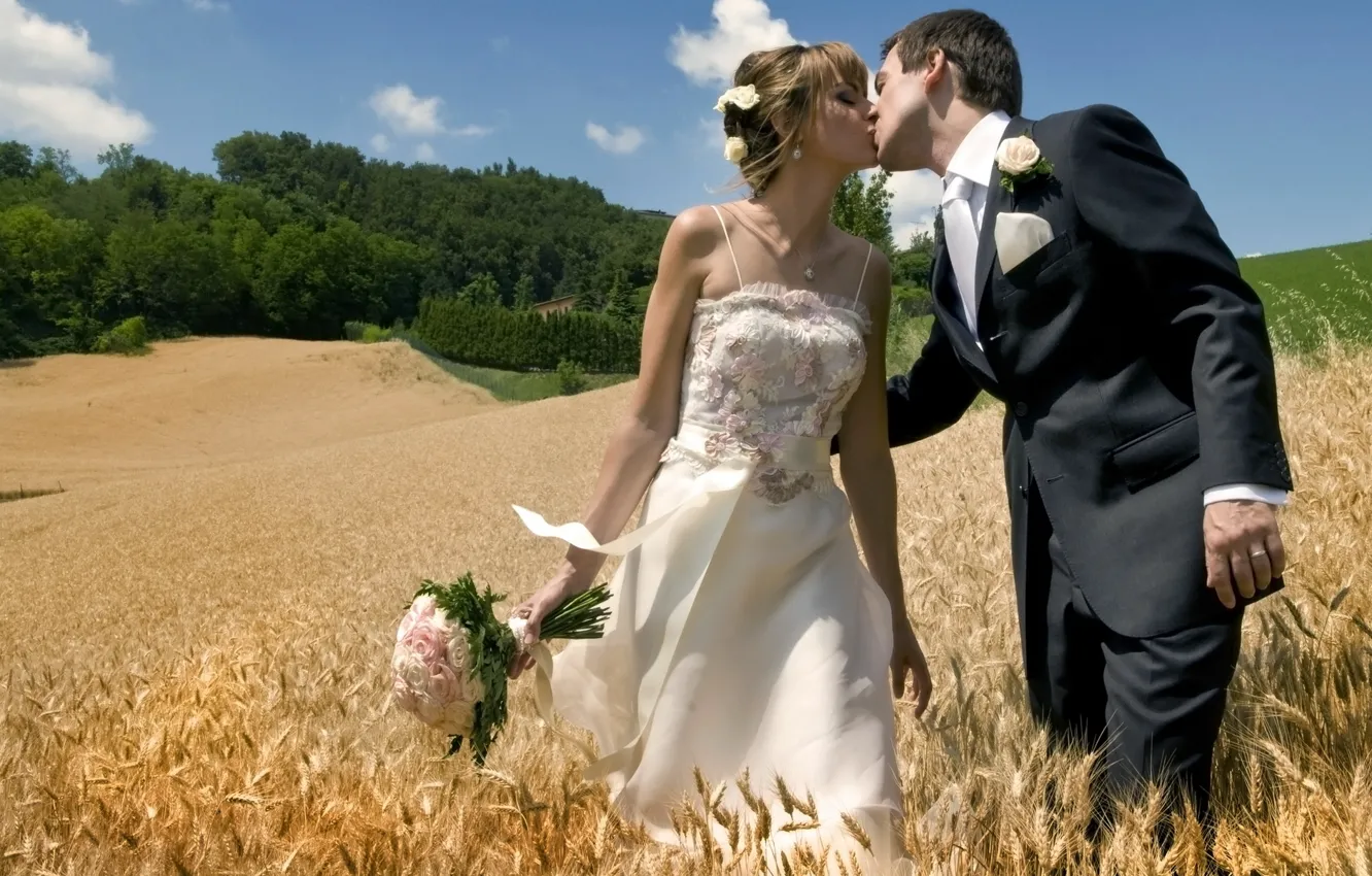 Фото обои поле, поцелуй, пара, влюбленные, двое, невеста, свадьба, жених