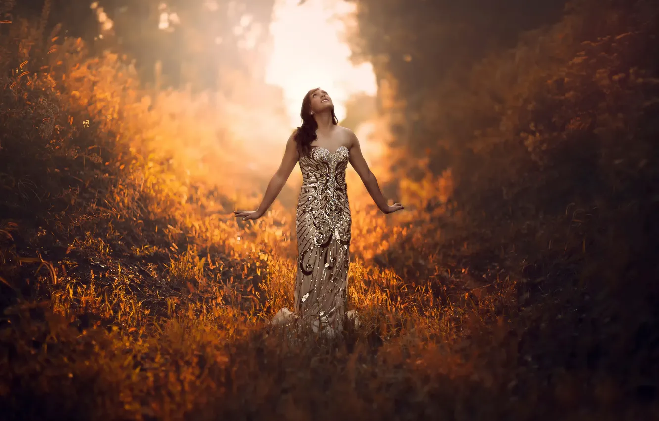 Фото обои лес, трава, девушка, солнце, утро, платье