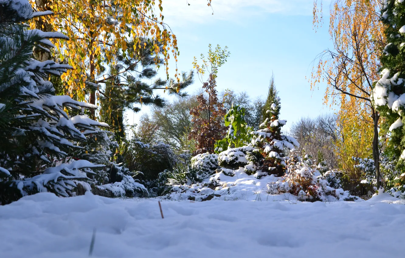 Фото обои зима, снег, пейзаж, природа, красота, Осень