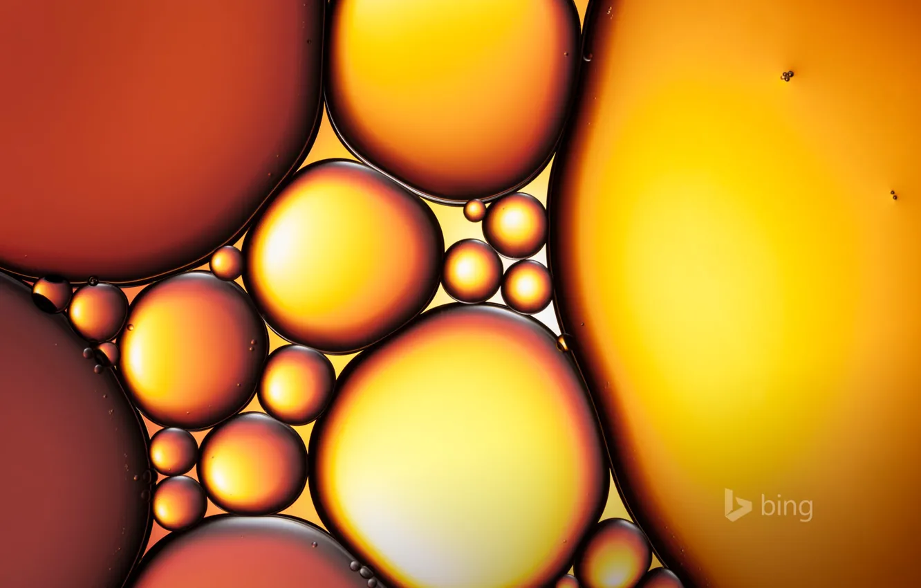 Фото обои вода, капли, шарики, пузырьки, масло, круг, овал
