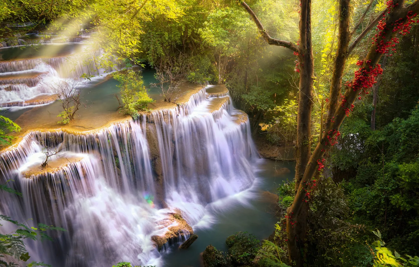 Фото обои лес, деревья, река, водопад, Тайланд, Thailand, каскад, Kanchannaburi