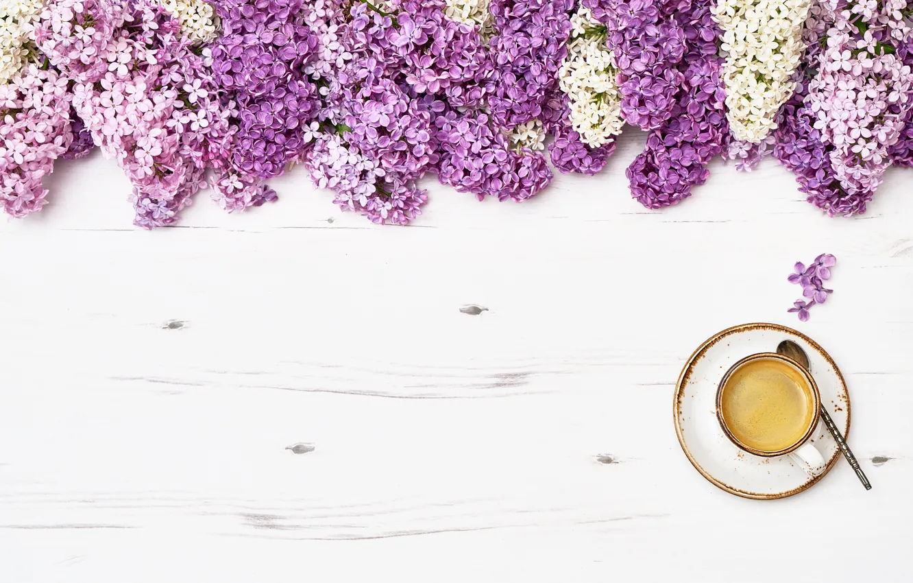 Фото обои цветы, flowers, сирень, romantic, coffee cup, lilac, чашка кофе