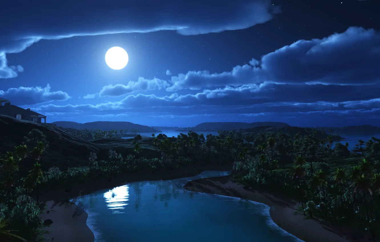 Фото обои звезды, облака, пейзаж, ночь, дом, река, пальмы, холмы