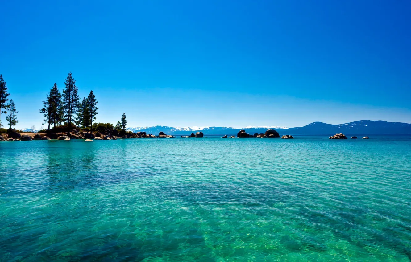 Фото обои лес, вода, озеро, California, голубая, lake Tahoe