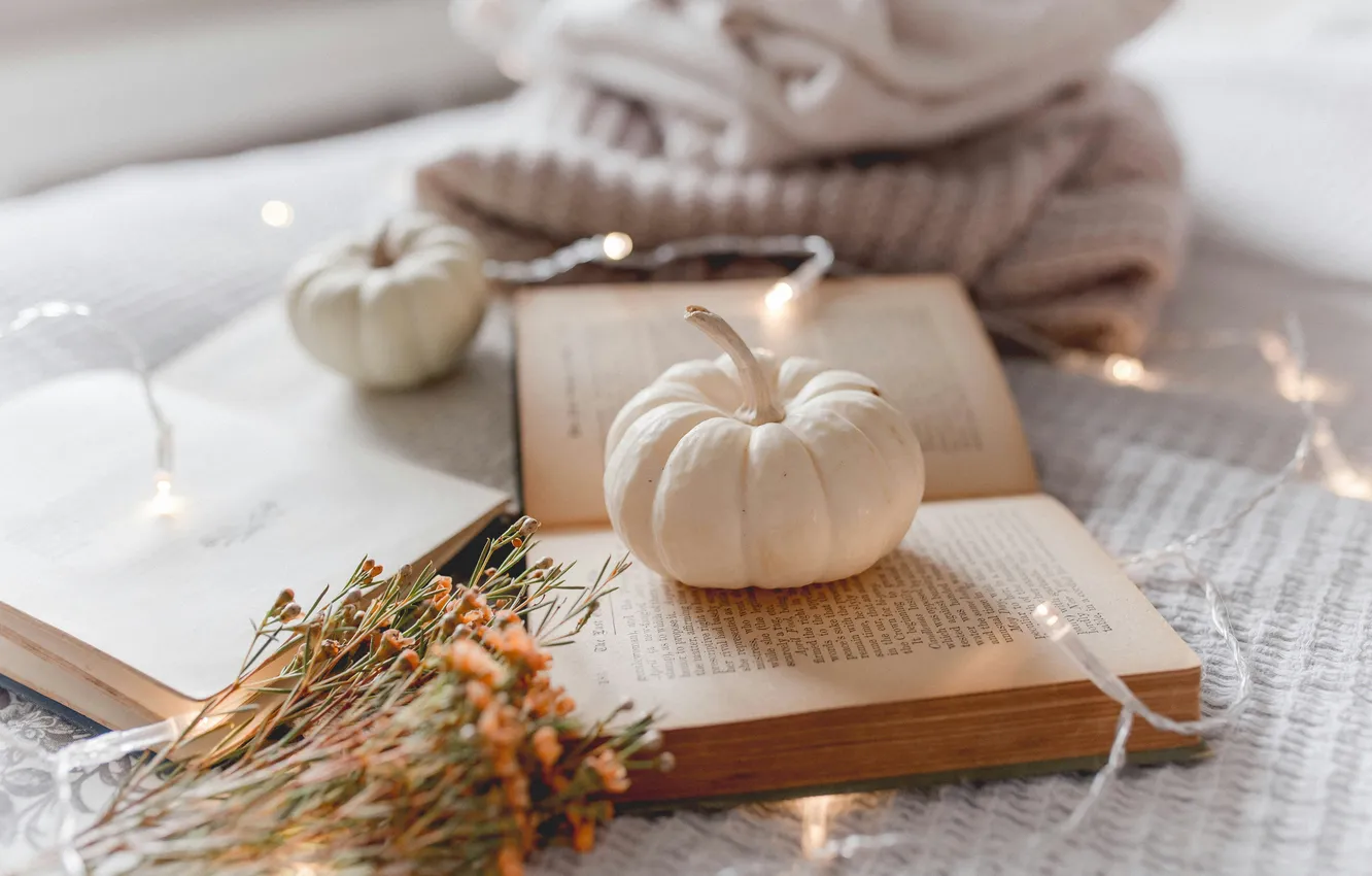 Фото обои цветы, уют, тыква, книга, гирлянда, still life