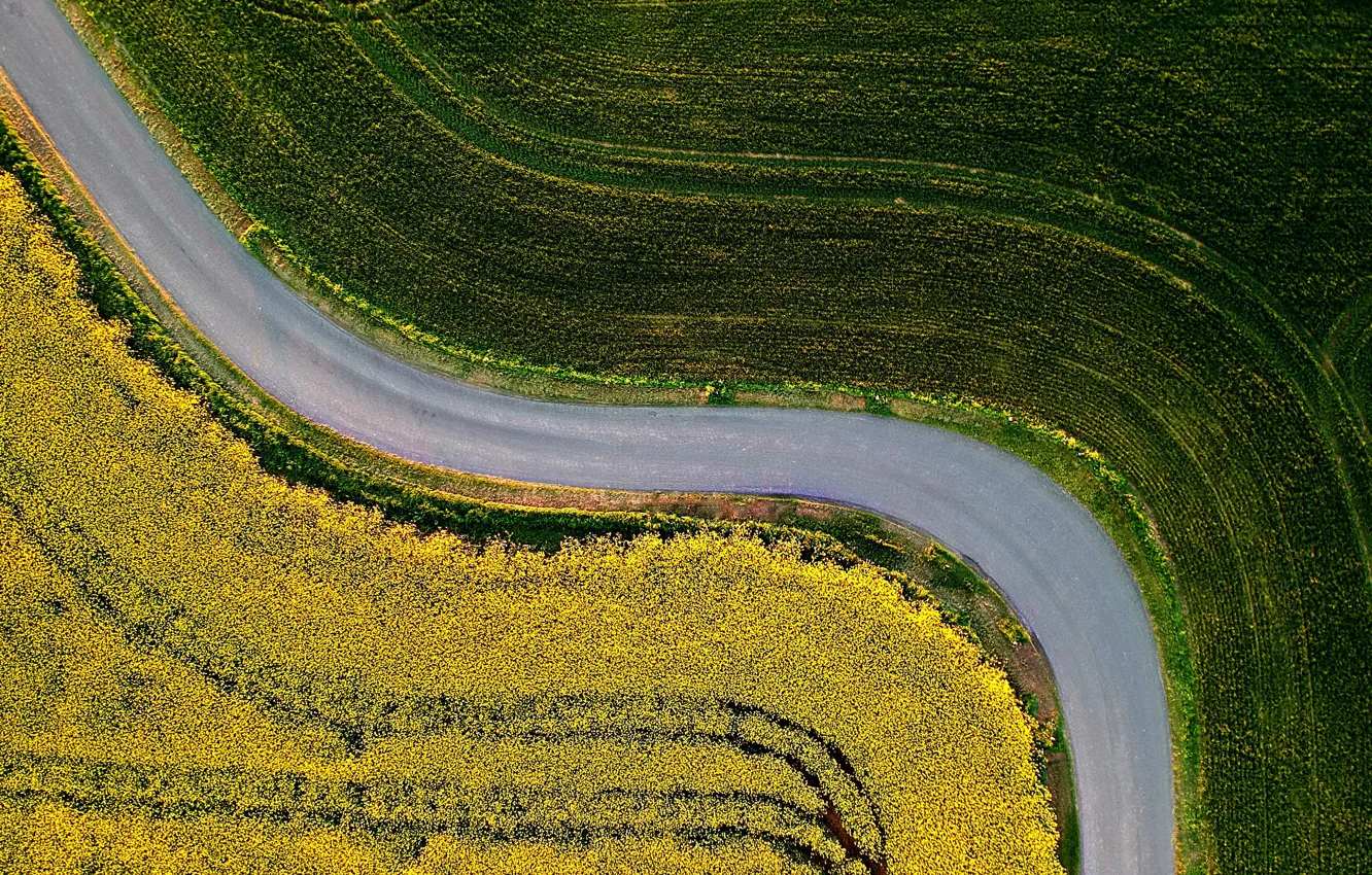 Фото обои Поле, Дорога, Вид сверху, Stuart Pritchards, Green Grass Field