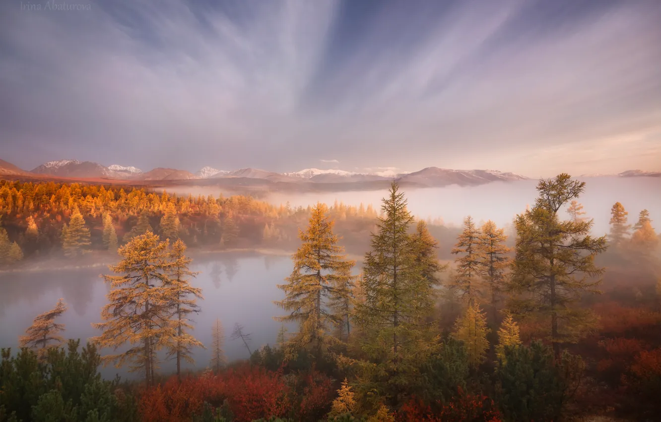 Фото обои осень, лес, небо, облака, деревья, горы, туман, озеро