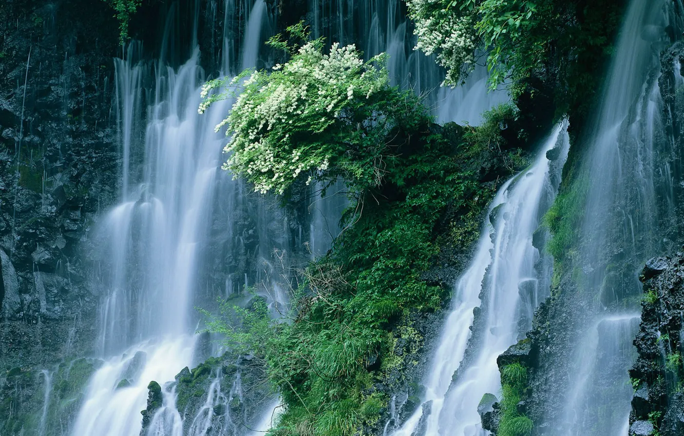 Фото обои Водопад, Япония, Кусты