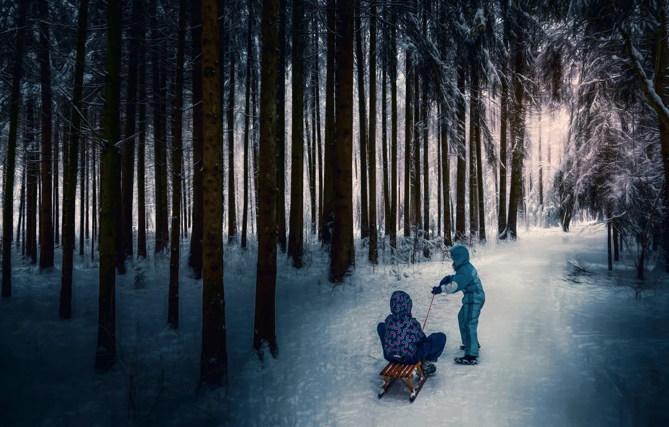 Фото обои дети, обработка, санки, зимний лес