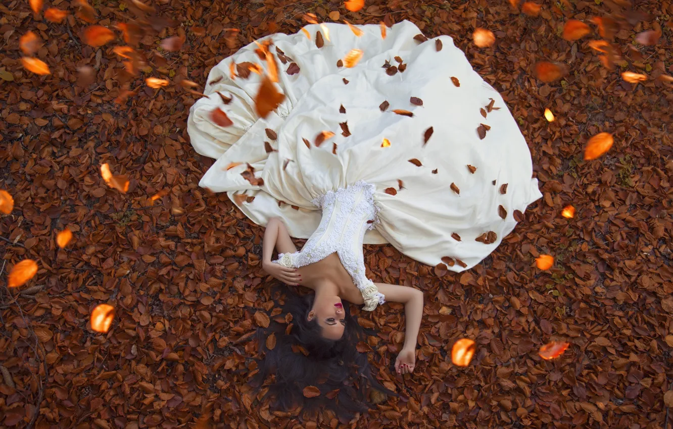 Фото обои ЛИСТЬЯ, ПЛАТЬЕ, ОСЕНЬ, ЛИСТВА, НЕВЕСТА, Maja Topcagic Photography