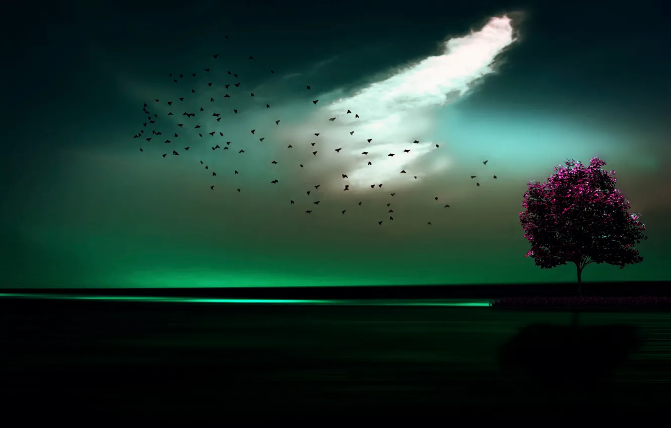 Фото обои птицы, дерево, горизонт, Me ilumina