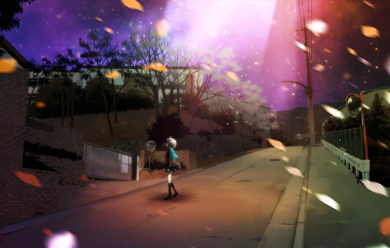 Фото обои дорога, небо, листья, звезды, ночь, улица, nagato yuki, suzumiya haruhi no yuutsu
