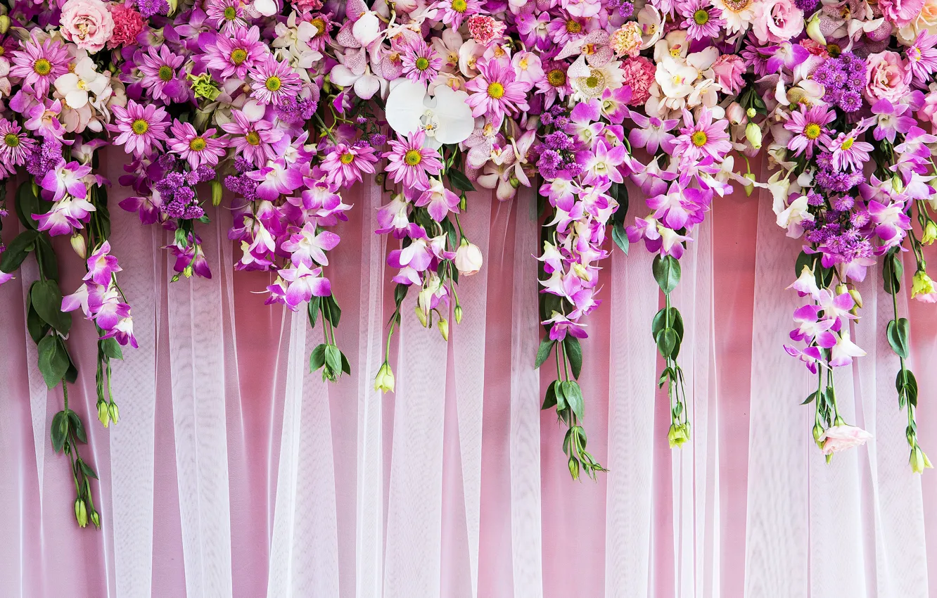 Фото обои цветы, фон, розы, розовые, бутоны, pink, flowers, purple
