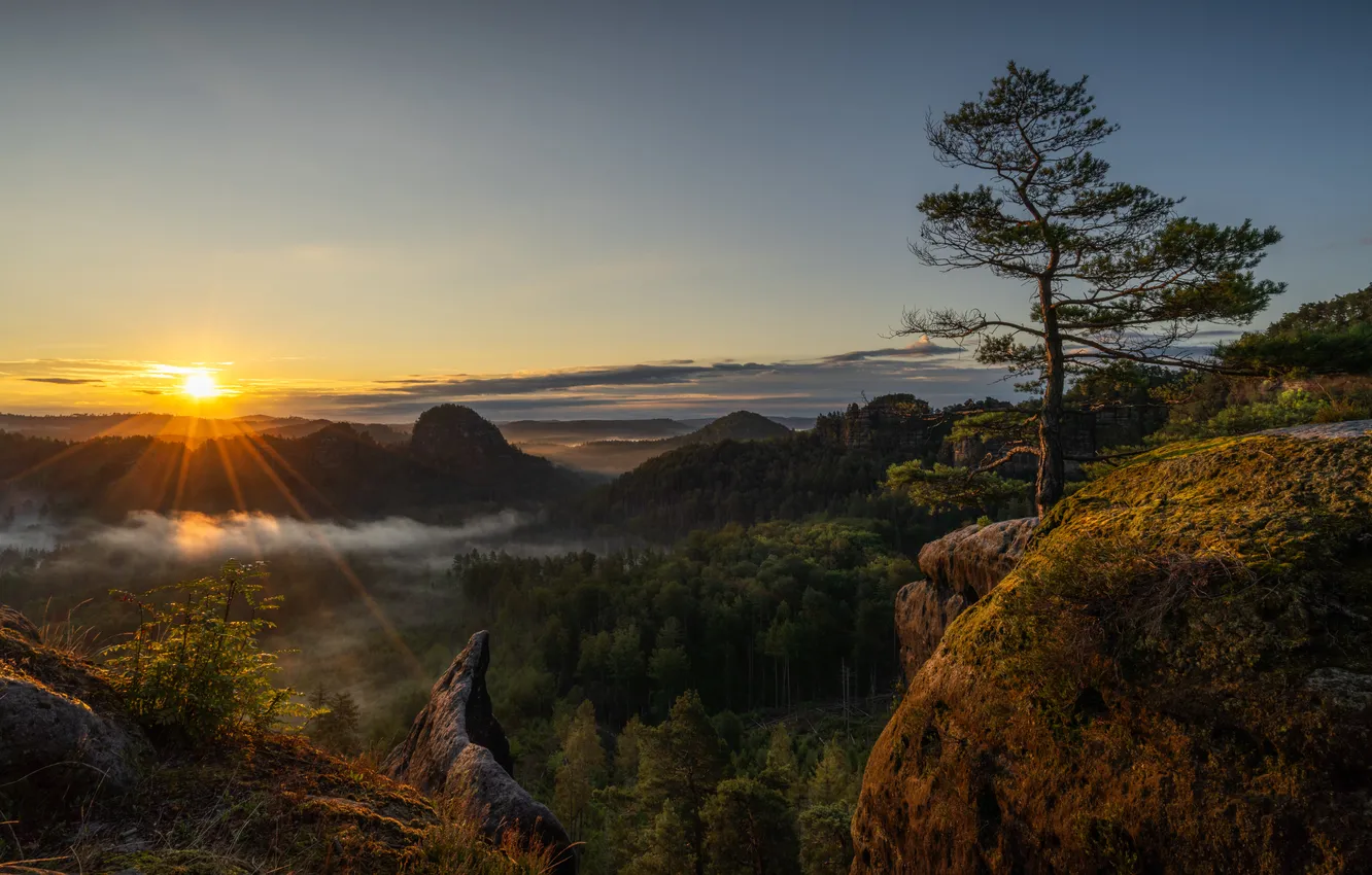Фото обои лес, небо, солнце, деревья, горы, скалы, рассвет, Germany