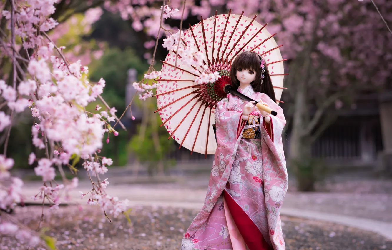 Фото обои зонтик, японка, кукла, сакура, кимоно