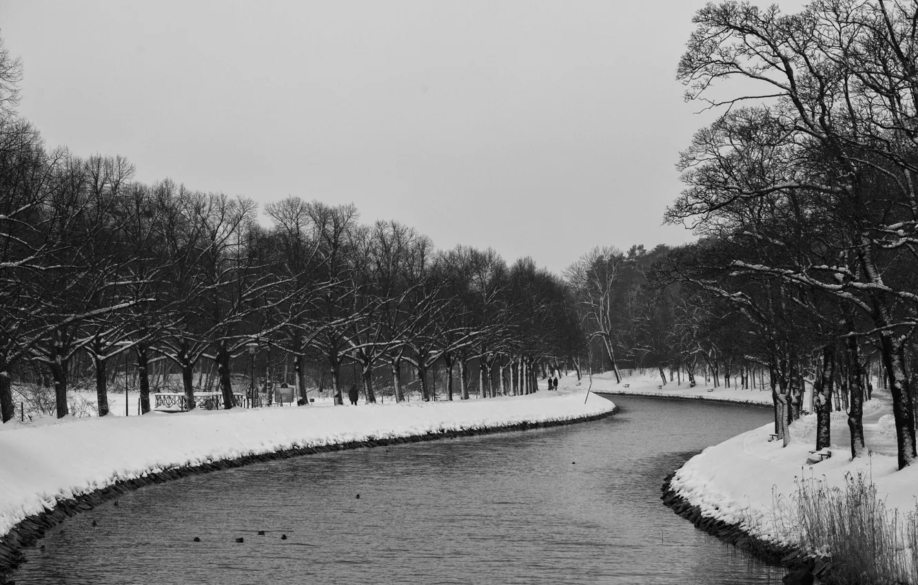 Фото обои river, trees, winter