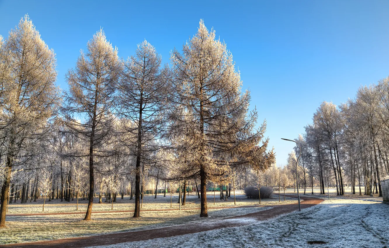 Фото обои небо, солнце, снег, деревья, парк, дорожка, Санкт-Петербург, Россия