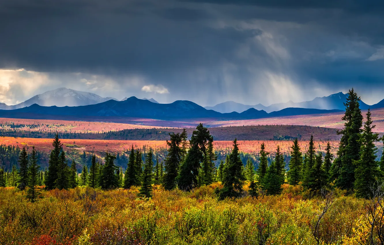 Фото обои Горы, Панорама, Тучи, США, Пейзаж, Denali National Park, Парки