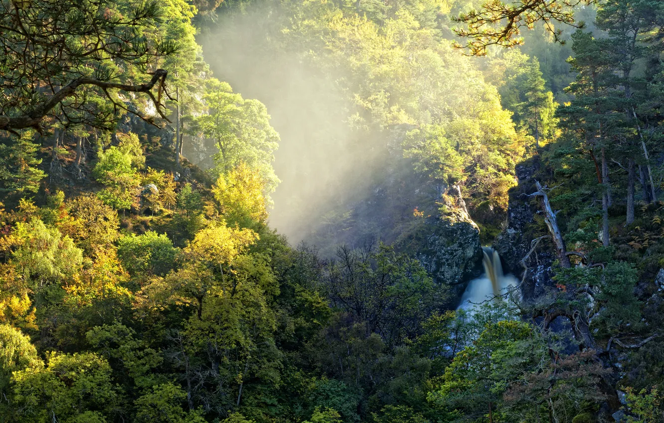 Фото обои осень, лес, свет, природа, водопад