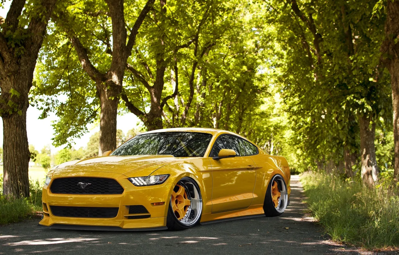 Фото обои Mustang, Ford, Front, Yellow, Tuning, Stance, Wheels, 2015