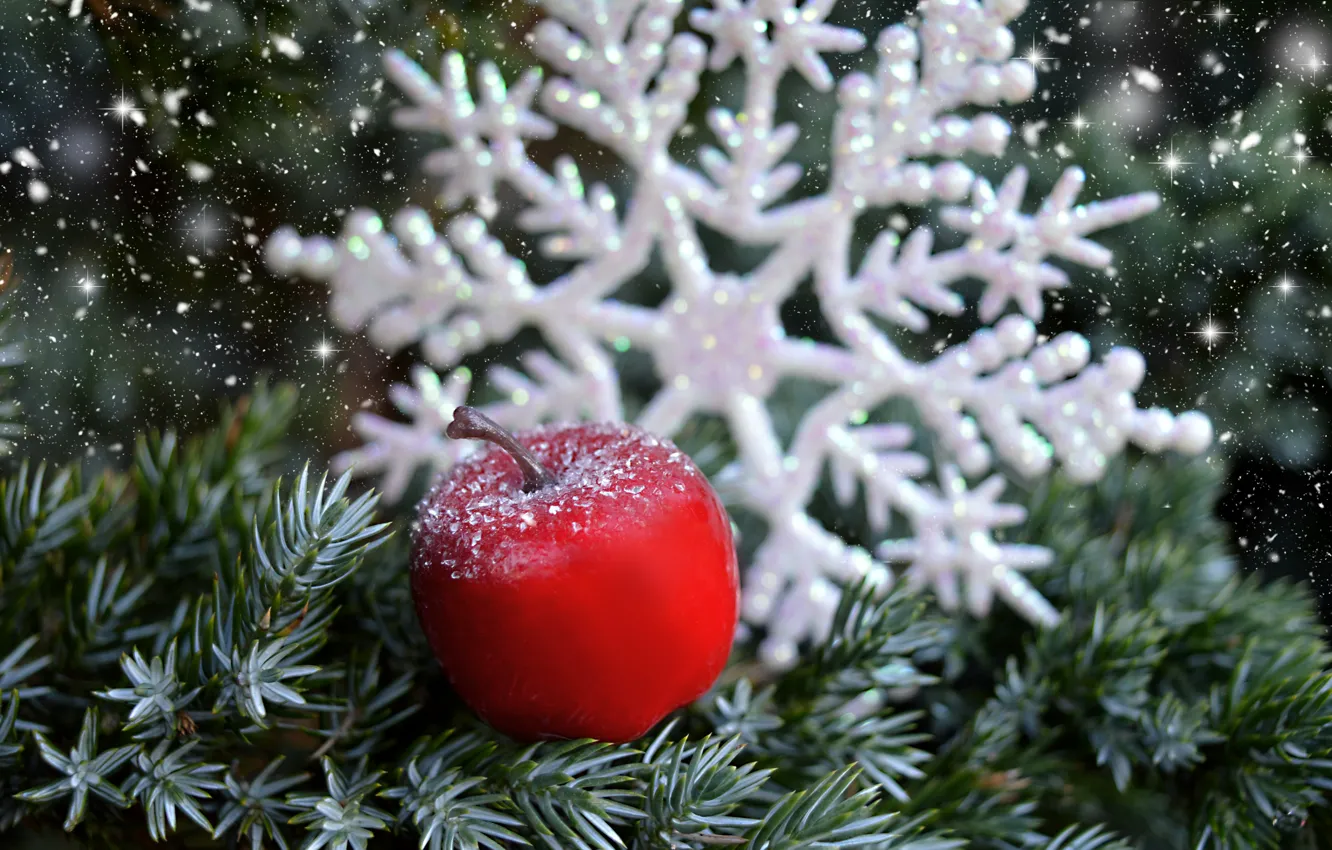 Фото обои зима, снег, ветки, сияние, праздник, красное, яблоко, Рождество