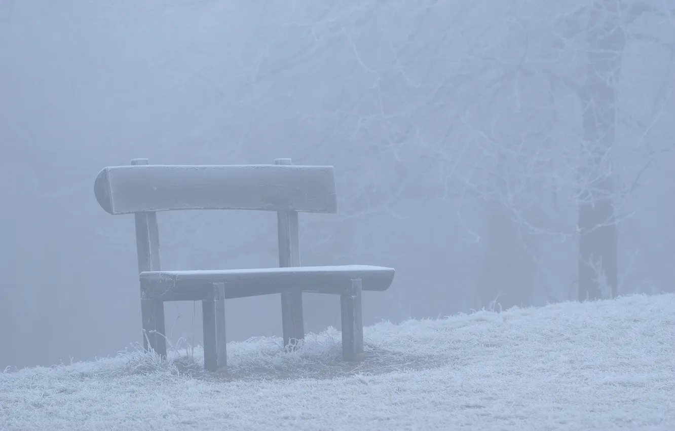 Фото обои зима, снег, скамейка, природа, настроение, лавочка, скамейки, лавочки