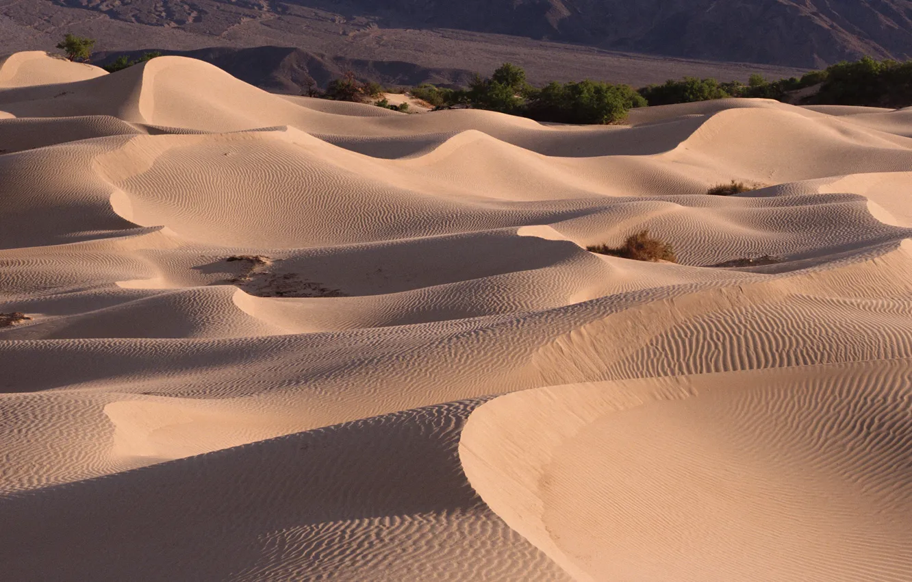 Фото обои песок, барханы, пустыня