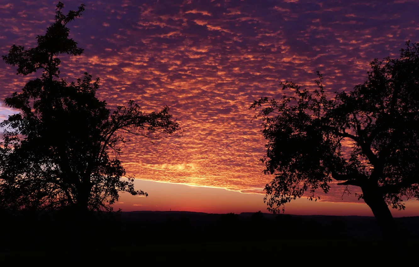Фото обои sunset, evening, sun, sundown