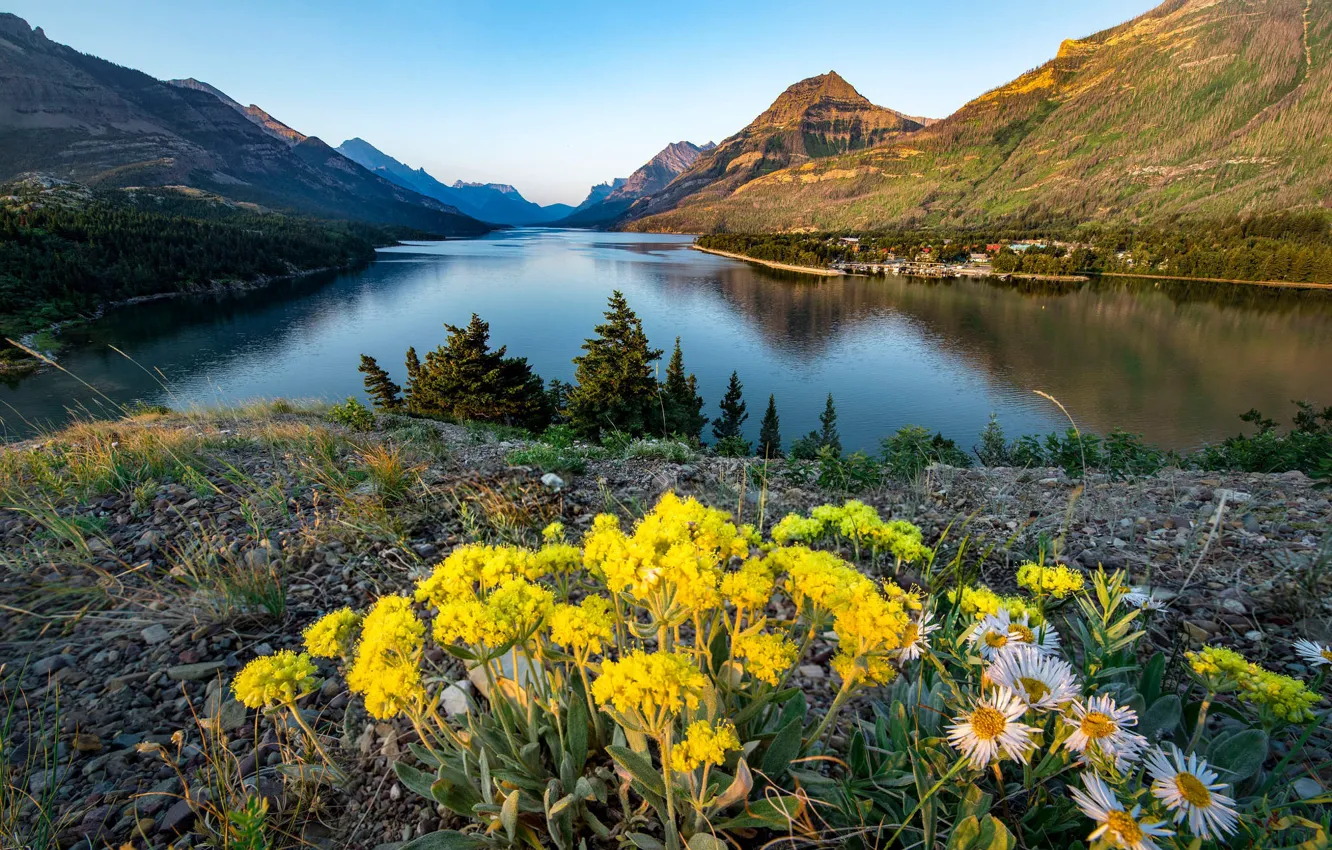 Фото обои цветы, горы, галька, озеро, синева, берег, склоны, желтые