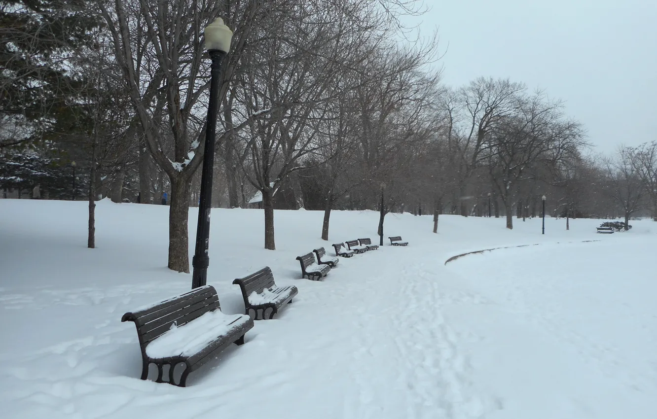 Фото обои зима, снег, деревья, следы, мороз, фонари, Парк, скамейки