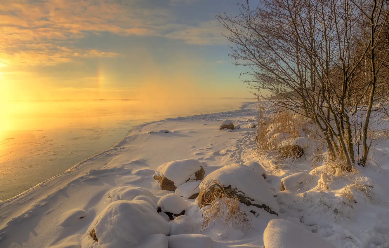 Фото обои зима, трава, вода, солнце, снег, деревья, пейзаж, природа
