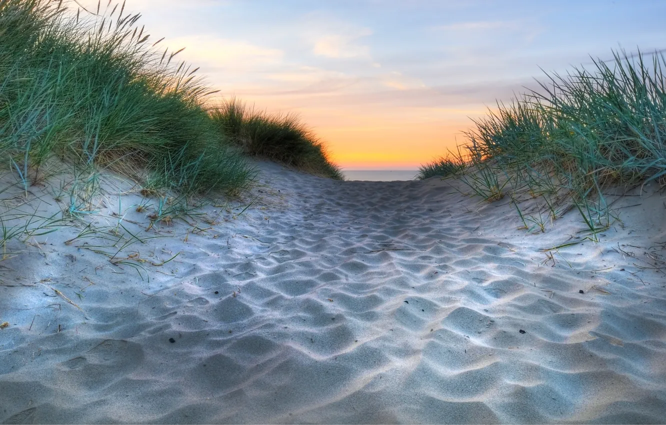 Фото обои песок, море, трава, вода, макро, природа, океан, побережье