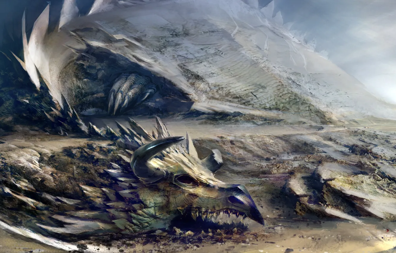 Фото обои скалы, дракон, человек, монстр, Guild Wars