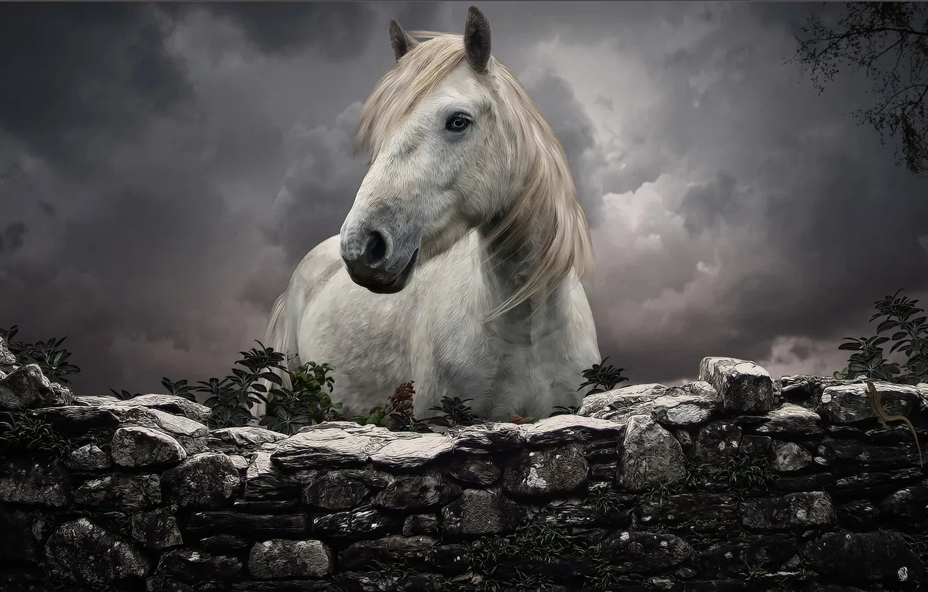 Фото обои белый, конь, забор, каменный