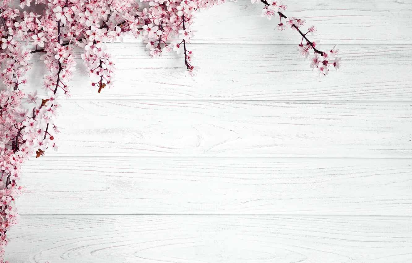 Фото обои Цветы, Сакура, Шаблон, Цветущие Деревья
