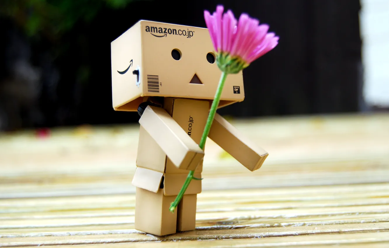 Фото обои цветок, подарок, robot, danbo, Danboard, box, toy, flower