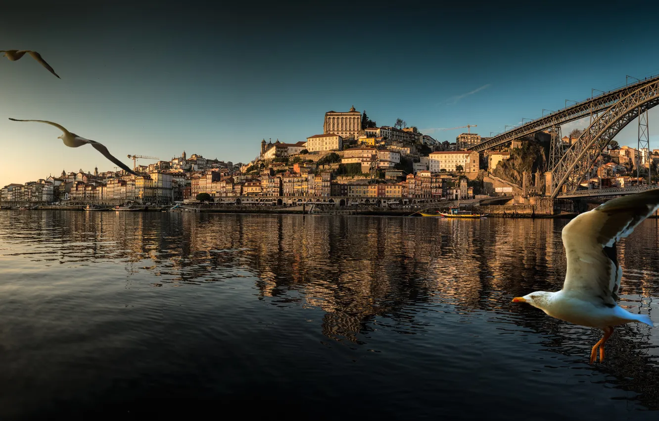 Фото обои пейзаж, птицы, мост, лодка, дома, панорама, Португалия, Порто
