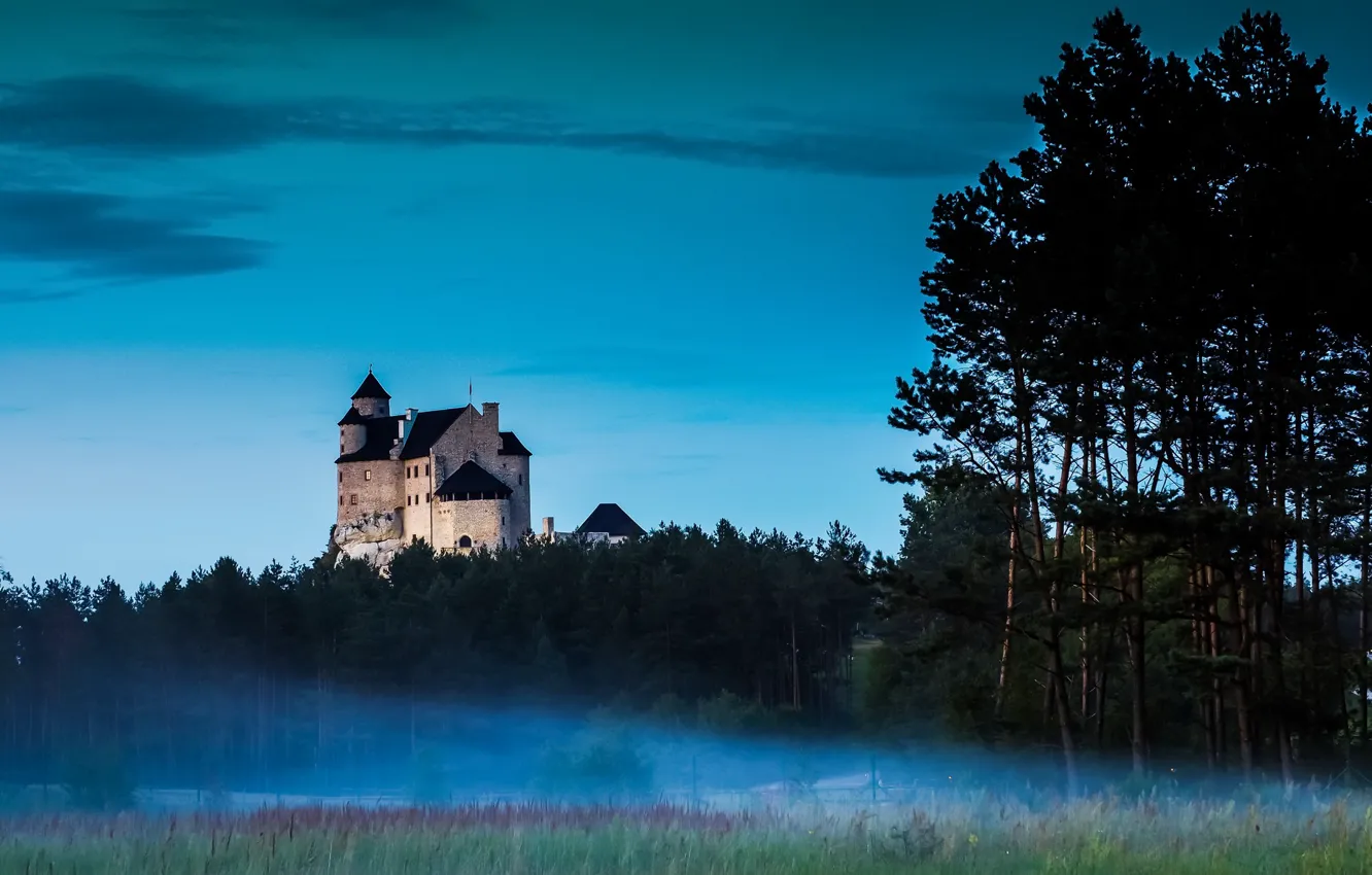 Фото обои Poland, Lodz, Drzewica, Bobolice Castle