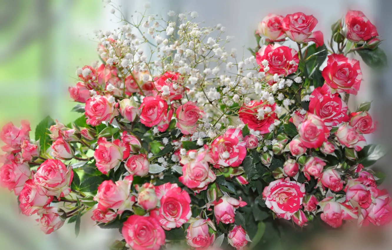 Фото обои цветы, розы, букет, размытость, пёстрые