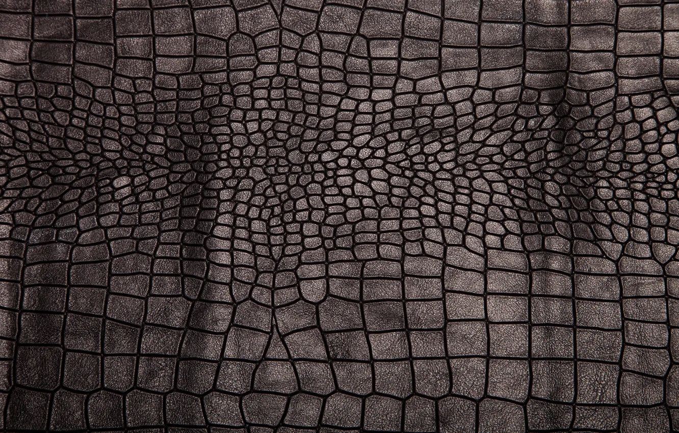 Фото обои кожа, black, texture, background, leather, crocodile skin