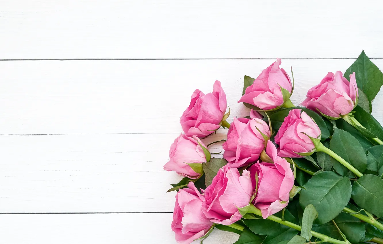 Фото обои цветы, розы, букет, розовые, wood, pink, flowers, roses