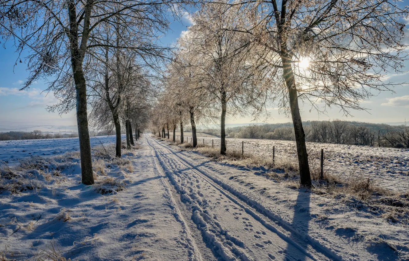 Фото обои зима, небо, солнце, лучи, снег, природа, парк, тень