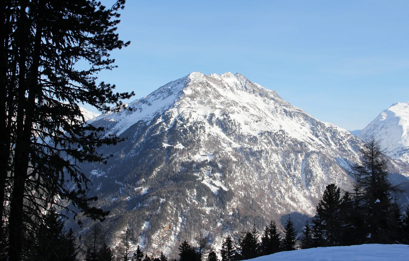 Фото обои зима, лес, снег, деревья, горы, Австрия, склон, Альпы