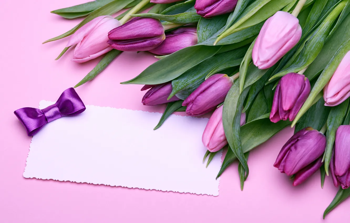 Фото обои букет, тюльпаны, love, розовые, бант, fresh, pink, flowers