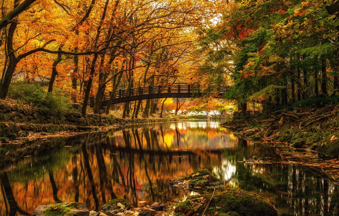 Фото обои осень, деревья, мост, парк, река