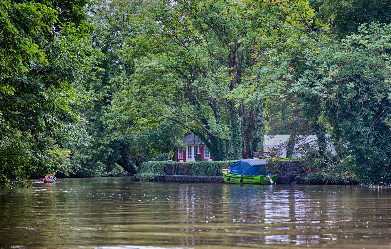 Фото обои река, лодка, Деревья